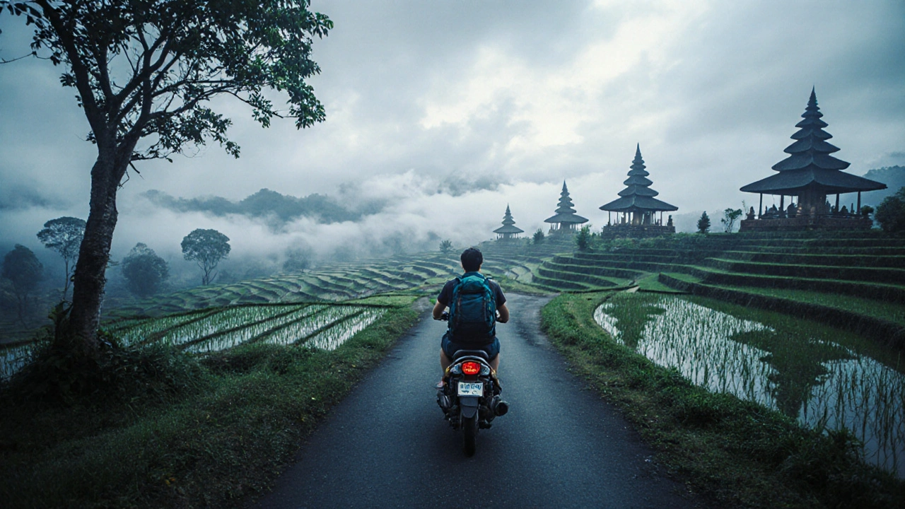 Wisatawan sendirian mengendarai motor di sawah terasering Ubud di musim sepi, suasana tenang dan embun pagi.