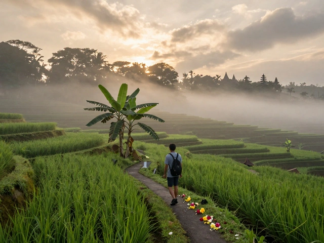 Pergi Kemana di Bali? Tempat Terbaik yang Wajib Dikunjungi di 2025