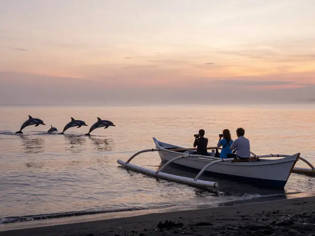 Tur Lovina Bali: Panduan Lengkap Wisata ke Pantai dan Kegiatan Populer